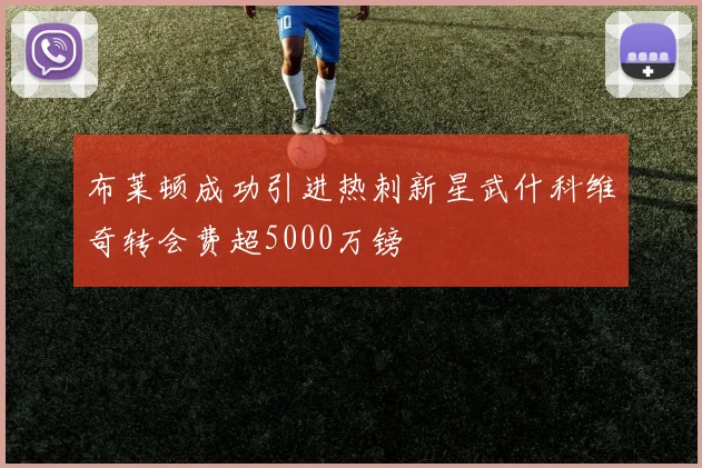 布莱顿成功引进热刺新星武什科维奇转会费超5000万镑